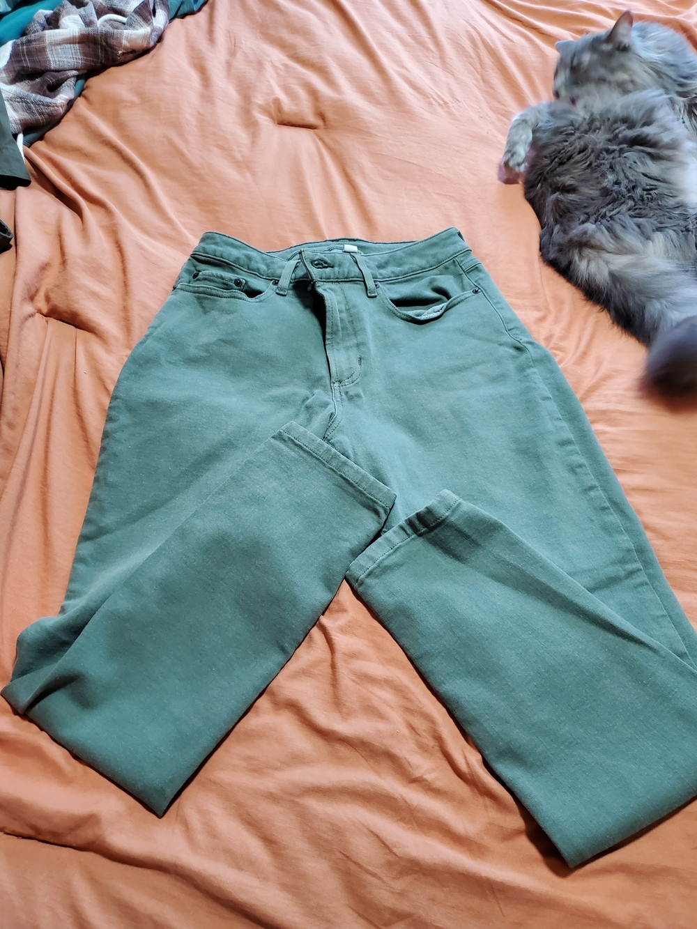 L.L. Bean Olive Green Denim Pants
